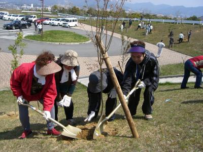 もみじ植樹風景