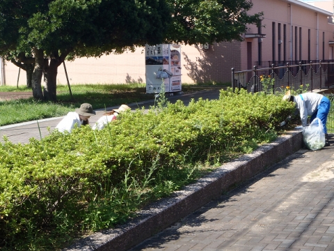 resize0203.jpg